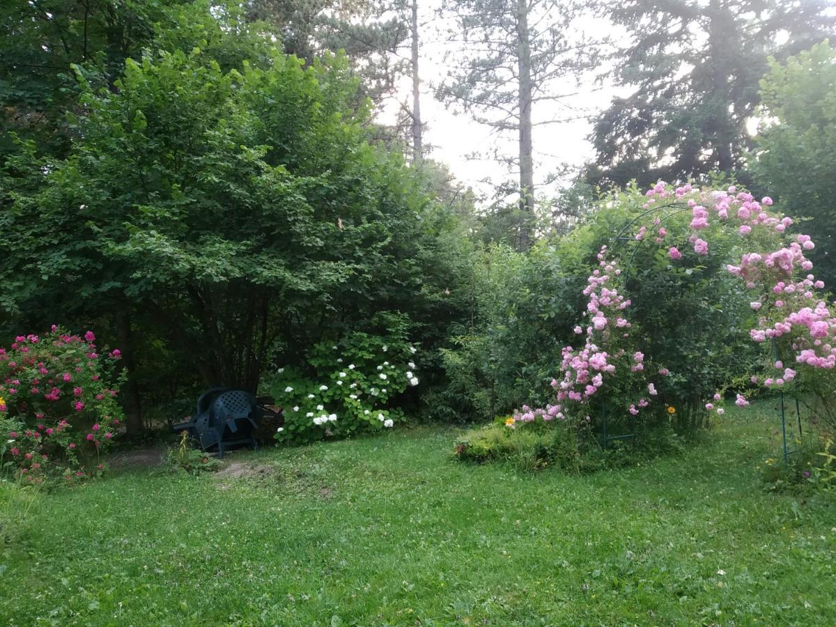 Eho * Zlatibor